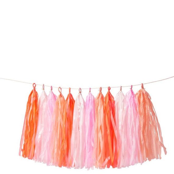 Pink Tassel Garland for Childrens Birthday Party Food Supplies Kids  Children's Party Garland Party Decorations Celebration Kit Coral Pastel