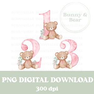 Set van 3 roze verjaardag beren leeftijd 1 2 3 PNG, beer sublimatie, verjaardag Tee ontwerp, kaart ontwerp, beer clipart, instant digitale download
