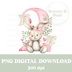 Coelhinho rosa 2 PNG, design de sublimação de camiseta de 2º aniversário, aniversário de menina, sublimação de coelho, coelho rosa, download digital instantâneo