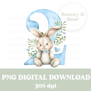 Blue Bunny 2 PNG, 2nd Birthday T Shirt Sublimation Design, Aniversário de menino, Sublimação de coelho, Blue Bunny Rabbit, Download digital instantâneo