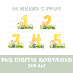 Numeri di compleanno classici di Winnie the Pooh e le api da 1 a 5 in formato PNG, stampa a sublimazione per magliette di compleanno, design per biglietti di compleanno, download digitale istantaneo