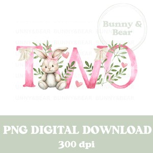 Pink Bunny TWO PNG, 2nd Birthday T Shirt Sublimation Design, Aniversário de menina, Sublimação de coelho, Coelho rosa, Download digital instantâneo