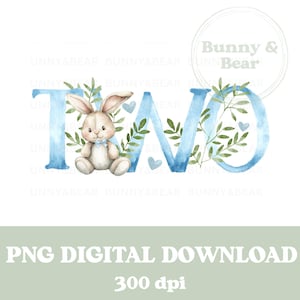 Blue Bunny TWO PNG, 2nd Birthday T Shirt Sublimation Design, Aniversário de menino, Sublimação de coelho, Blue Bunny Rabbit, Download digital instantâneo