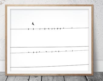Bird On Wire, Bird Photography, Bird Photo, Birds On Wire art, Home Decor, Birds, Bird Art, Digital Download, Bird Wall Art, Black White