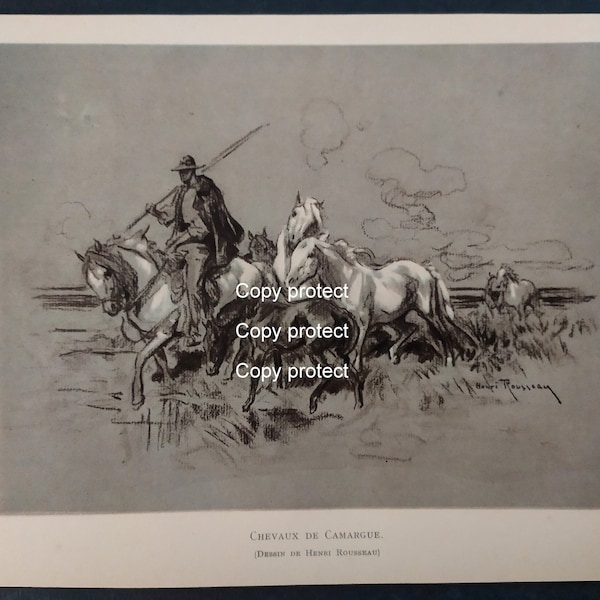 Rare document dessin Henri Rousseau DOUANIER ROUSSEAU Les chevaux de Camargue 1931