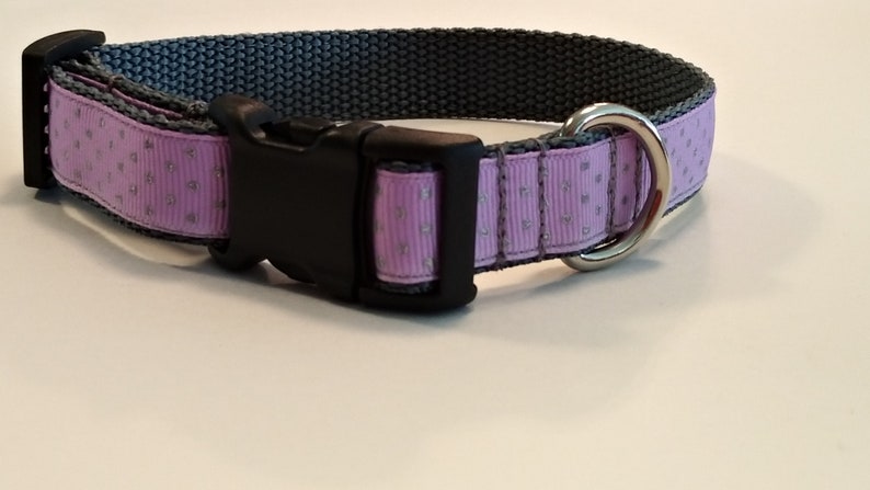 different kinds of dog collars