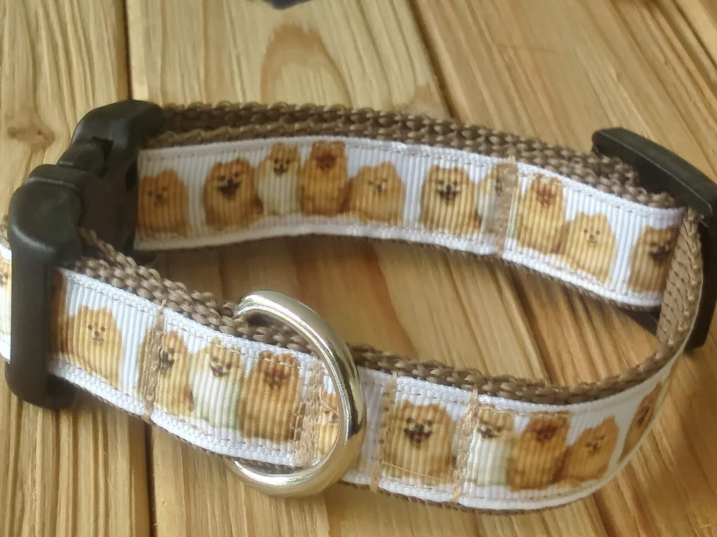 pomeranian collar size