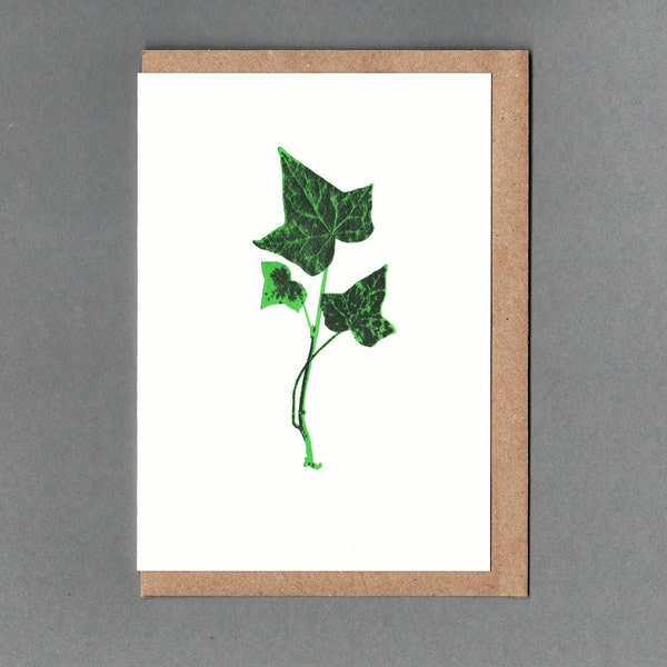 Leaf Cards. Ivy, Fern, Oak, Holly. Letterpress.