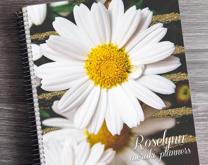 2026 Appointment Book - 12 Months Personalized Planner - Daily Checklist, Monthly and Weekly Glance | Daisies