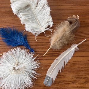 Vintage Ostrich Feathers for Hat Making: Antique Millinery Supply (5 Pieces)