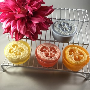 Loofah Soap