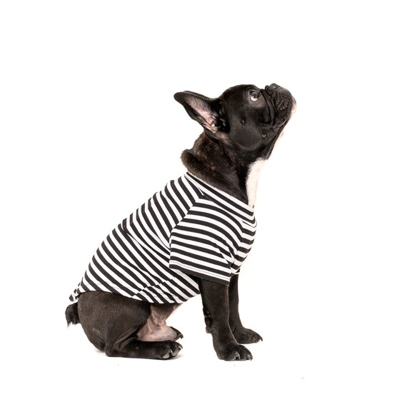 Black and White Striped Dog Tee T-Shirt 