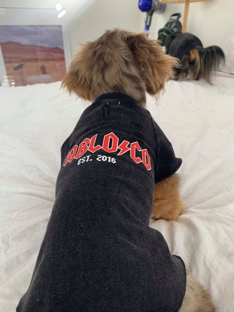 ACDC Vintage Dog Tee Tshirt Tee Accessories Band Shirt Rock N Etsy