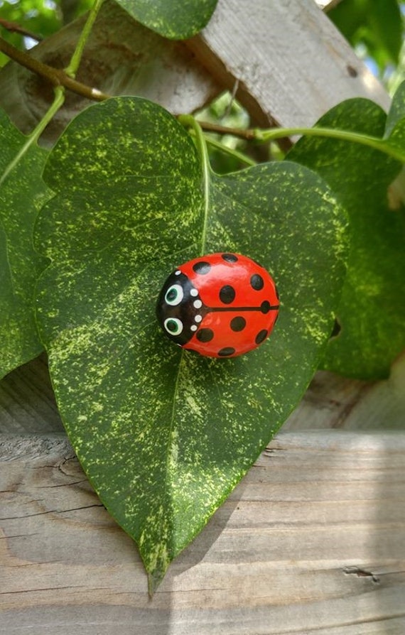 Ladybug Magnet Hand Painted Rock Art Ladybird Gift For Etsy