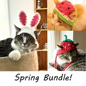 PATTERN ONLY CROCHET Bundle and Save! All three patterns included! Spring Bundle Strawberry Watermelon Bunny Cat/small Dog, download**