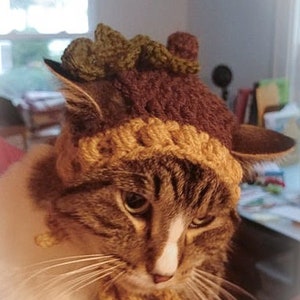 PATTERN ONLY ACORN oak leaf Cat Dog Hat crochet beginner pet play, cat accessories, animal photo prop, pet costume, Fall Autumn**