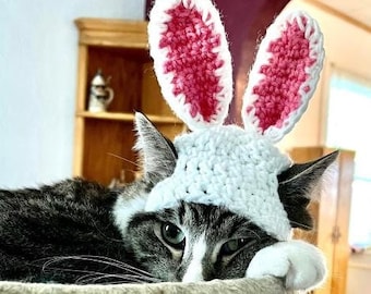 PATTERN ONLY Bunny Ears Cat Dog Hat CROCHET beginner pet play, cat accessories, animal photo prop, pet costume,  Easter Spring**