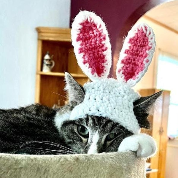 PATTERN ONLY Bunny Ears Cat Dog Hat CROCHET beginner pet play, cat accessories, animal photo prop, pet costume,  Easter Spring**