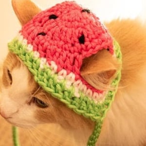 PATTERN ONLY CROCHET Watermelon Furbaby Hat Cat/small Dog beginner level download pet costume pet play animal photo prop, pet supplies image 1