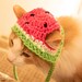 see more listings in the Hats for Pets section