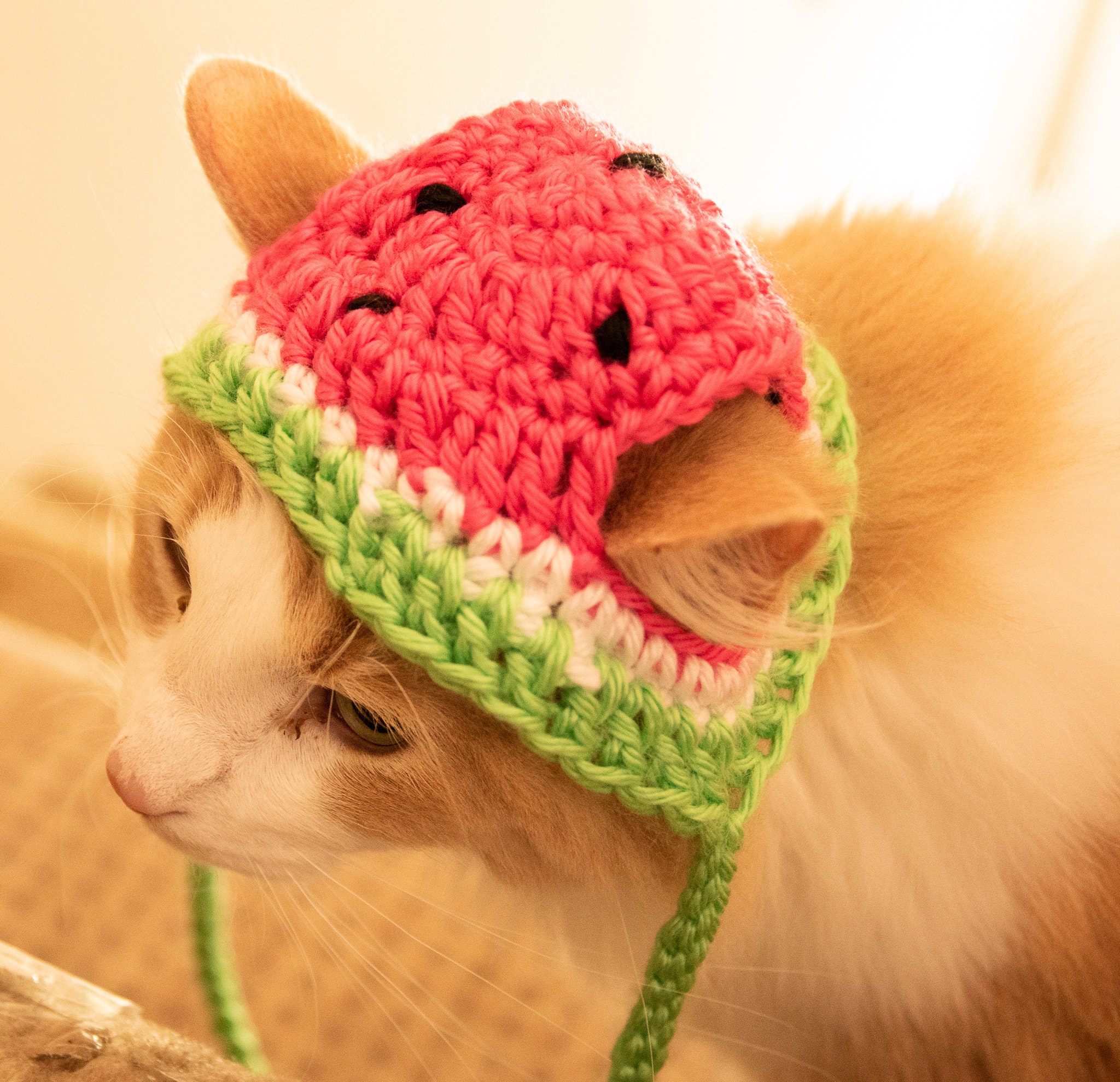 WATERMELON HAT Watermelon Furbaby Hat. Cat/small Dog pet Etsy