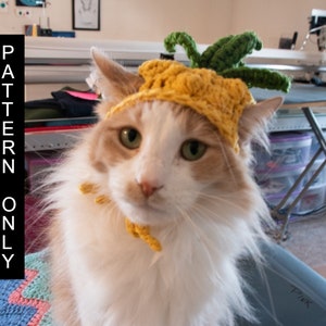 PATTERN ONLY CROCHET Pineapple Cat Dog Hat beginner pet play cat accessories, animal photo prop, pet costume, pet supplies, cat hat**