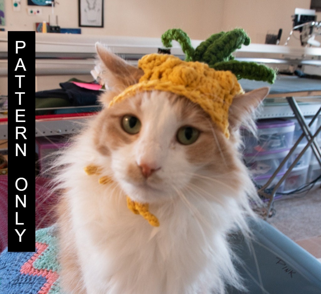 pineapple cat costume