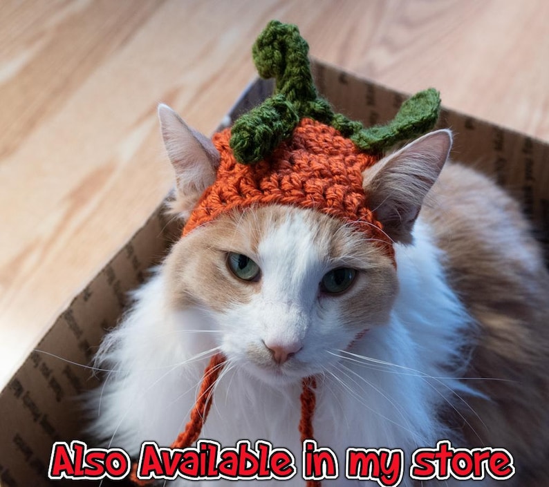 PATTERN ONLY CROCHET Watermelon Furbaby Hat Cat/small Dog beginner level download pet costume pet play animal photo prop, pet supplies image 5