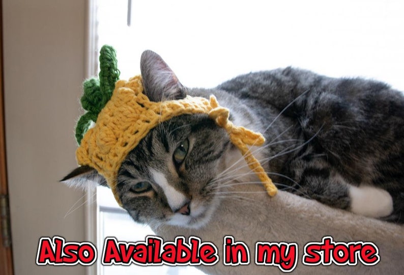 PATTERN ONLY CROCHET Watermelon Furbaby Hat Cat/small Dog beginner level download pet costume pet play animal photo prop, pet supplies image 3