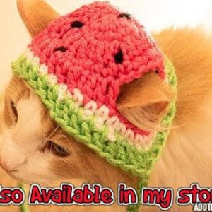 PATTERN ONLY Strawberry Cat Dog Hat CROCHET beginner pet play, cat accessories, animal photo prop, pet costume, pet supplies, cat hat image 5