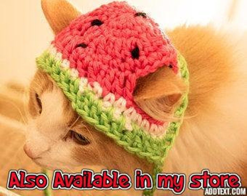 PATTERN ONLY Strawberry Cat Dog Hat CROCHET beginner pet play, cat accessories, animal photo prop, pet costume, pet supplies, cat hat image 5