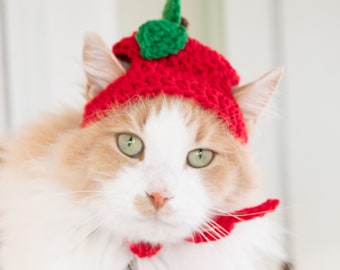 FREE SHIP! APPLE hat green or red Furbaby Hat Cat/small Dog, pet costume, pet play, adorable pet hats, cat hat**