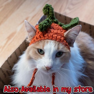 PATTERN ONLY Strawberry Cat Dog Hat CROCHET beginner pet play, cat accessories, animal photo prop, pet costume, pet supplies, cat hat image 4