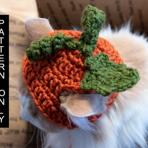 PATTERN  ONLY  CROCHET Pumpkin Furbaby Hat  Cat/small Dog beginner level, downloadable, pet costume, pet play, adorable pet hats, cat hat**