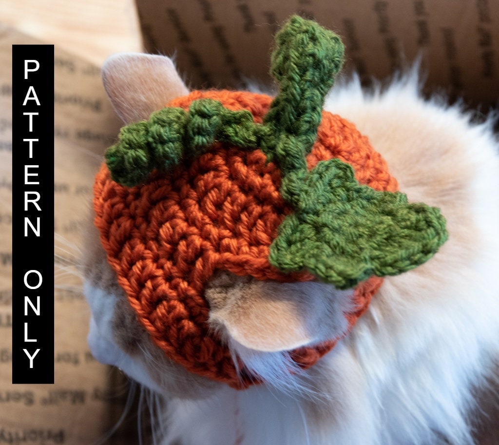 PATTERN ONLY CROCHET Pumpkin Furbaby Hat Cat/small Dog Beginner