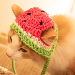 PATTERN ONLY CROCHET Watermelon Furbaby Hat Cat/small Dog beginner level download pet costume pet play animal photo prop, pet supplies image 6