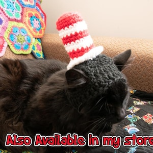 PATTERN ONLY Strawberry Cat Dog Hat CROCHET beginner pet play, cat accessories, animal photo prop, pet costume, pet supplies, cat hat image 2