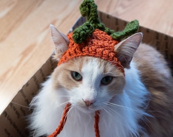 FREE SHIP! PUMPKIN hat pumpkin Furbaby Hat Cat/small Dog pet costume, pet play, adorable pet hats, cat hat**