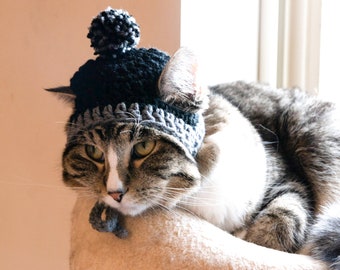 FREE SHIP! Winter Beanie hat custom colors pompom pom pom Furbaby Cat/small Dog pet costume, pet play, adorable pet hats cat hat**