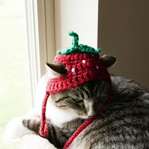 LIVRAISON GRATUITE ! Chapeau FRAISE, chapeau Furbaby, fraise, chat/petit chien, costume d'animal de compagnie, jeu d'animal de compagnie, adorables chapeaux pour animaux de compagnie, chapeau de chat **