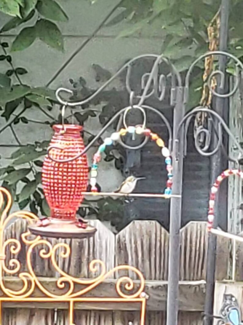 Hummingbird Swing Perch Garden Bird GREAT GIFT See Video Etsy Israel