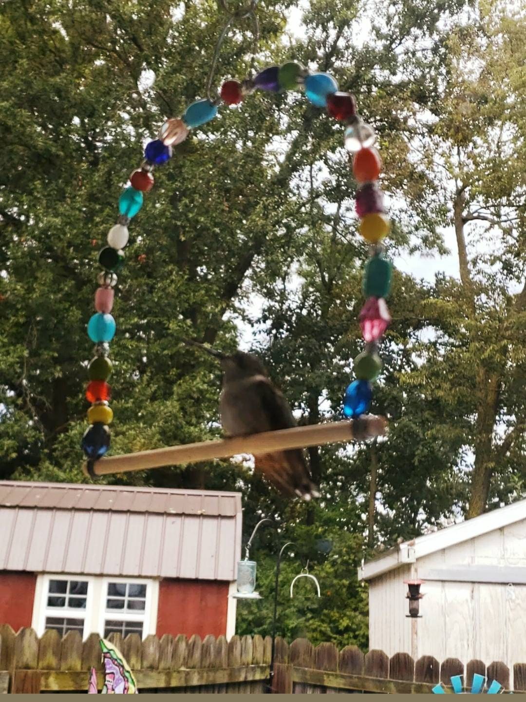 Set of 2 Hummingbird Swings Perches GREAT GIFT See Video Etsy