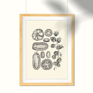 Stampa digitale A4 Pomodori bianco e nero