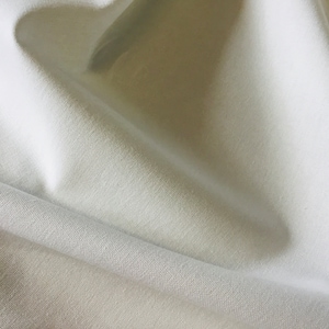 Leichtes Baumwoll-Canvas, Öko-Tex-zertifiziert, Ecru Nr. 21