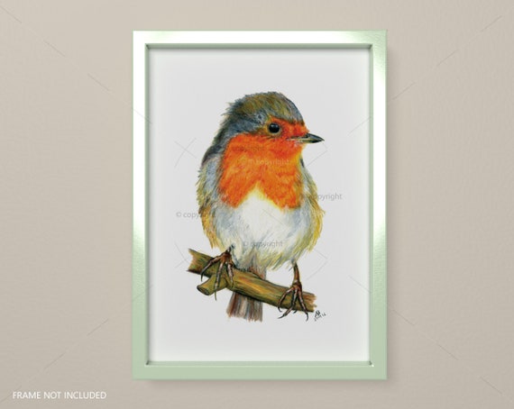 A4 Print Hand drawn illustration of a robin