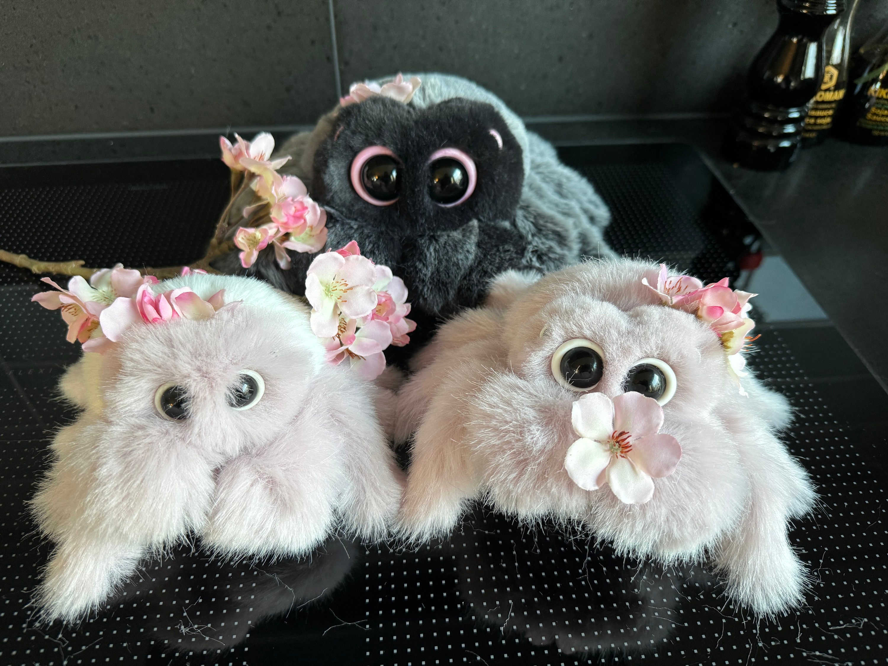 Sakura the Medium Cherry Blossom Jumping Spider - Etsy Sakura the Medium Cherry Blossom Jumping Spider - Etsy