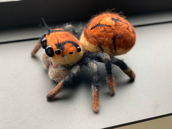 Jumping Spider Phidippus Regius female needle felted