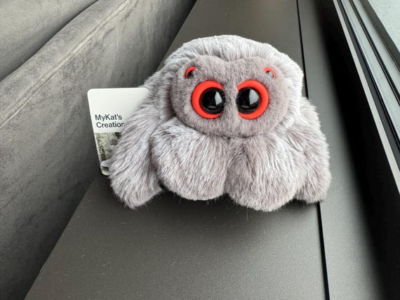 Nolan the large hand made Jumping Spider