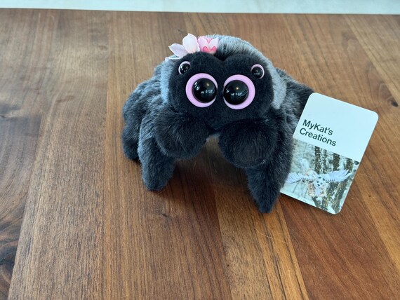 Mya the medium Cherry Blossom Jumping Spider