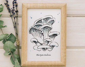 Blue Oyster Mushroom 5x7" Print